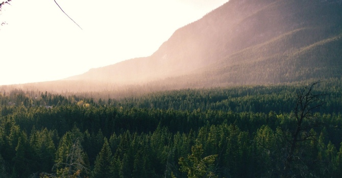 Fairfield’s Trusted Chiropractor & Sports Therapy Team: An Integrative Approach from Pain to Optimization